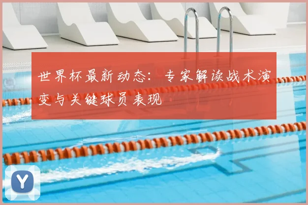 世界杯最新动态：专家解读战术演变与关键球员表现