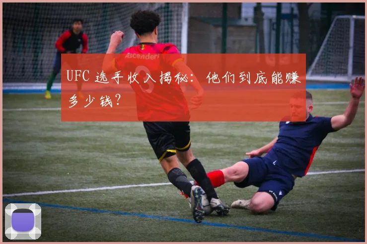UFC 选手收入揭秘:他们到底能赚多少钱?