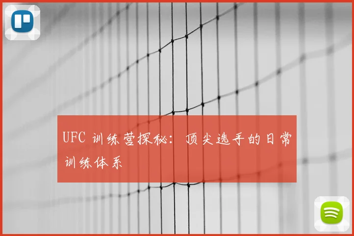 UFC 训练营探秘:顶尖选手的日常训练体系